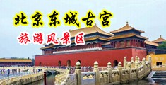 黑巨屌插进小穴中国北京-东城古宫旅游风景区